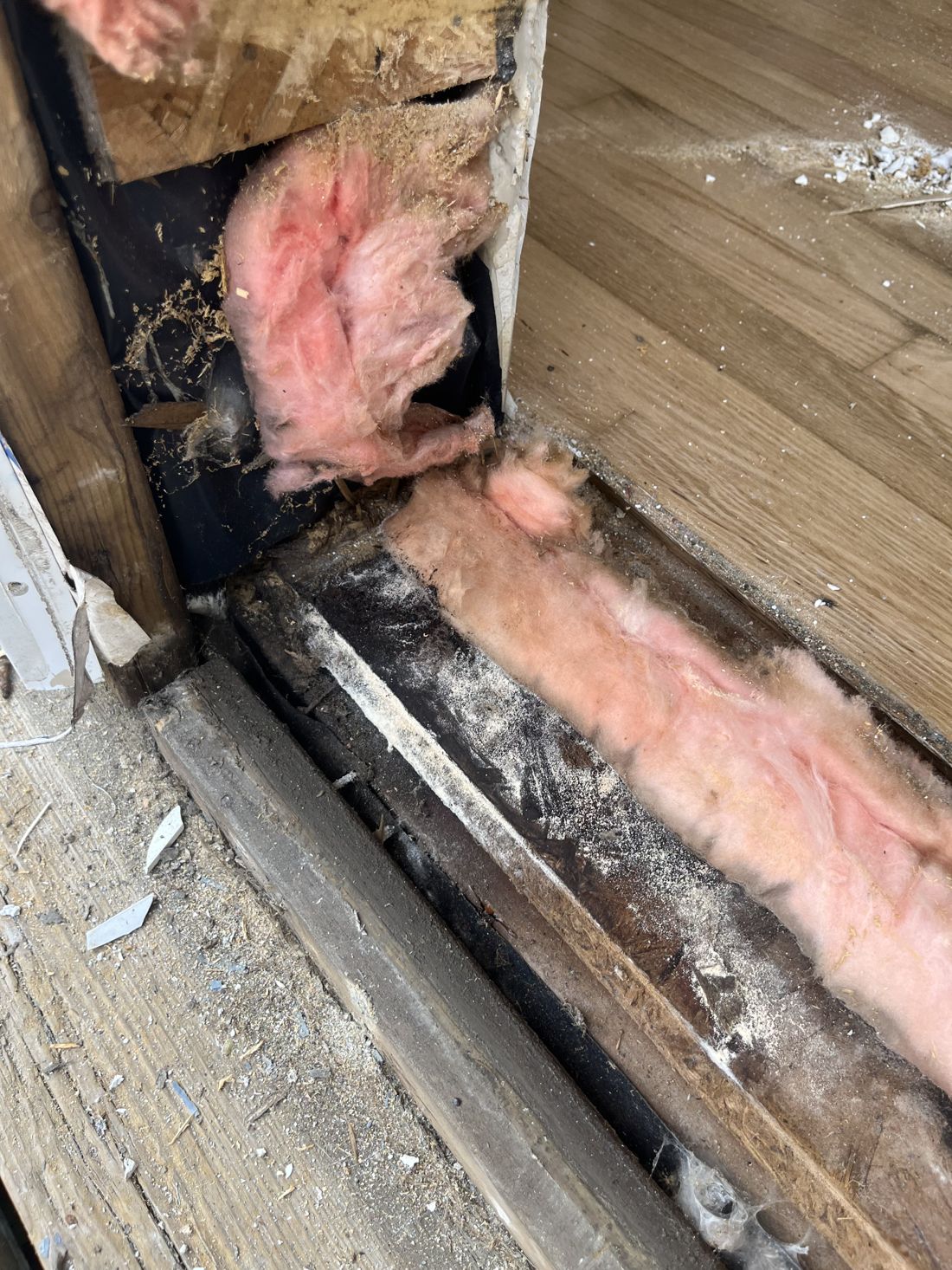 Rotting exterior door frame cut back to sound wood and rebuilt in Ottawa