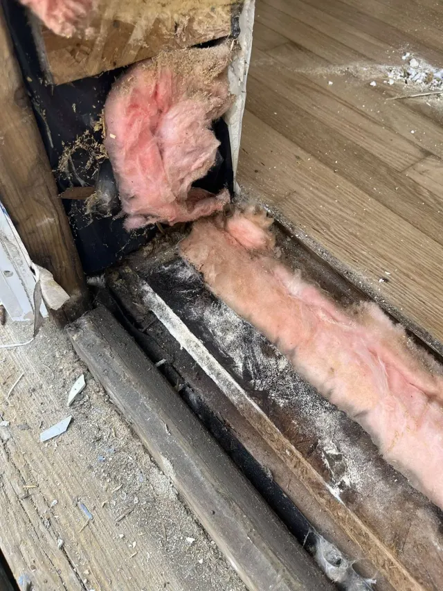 Rotting Door Frame Repair