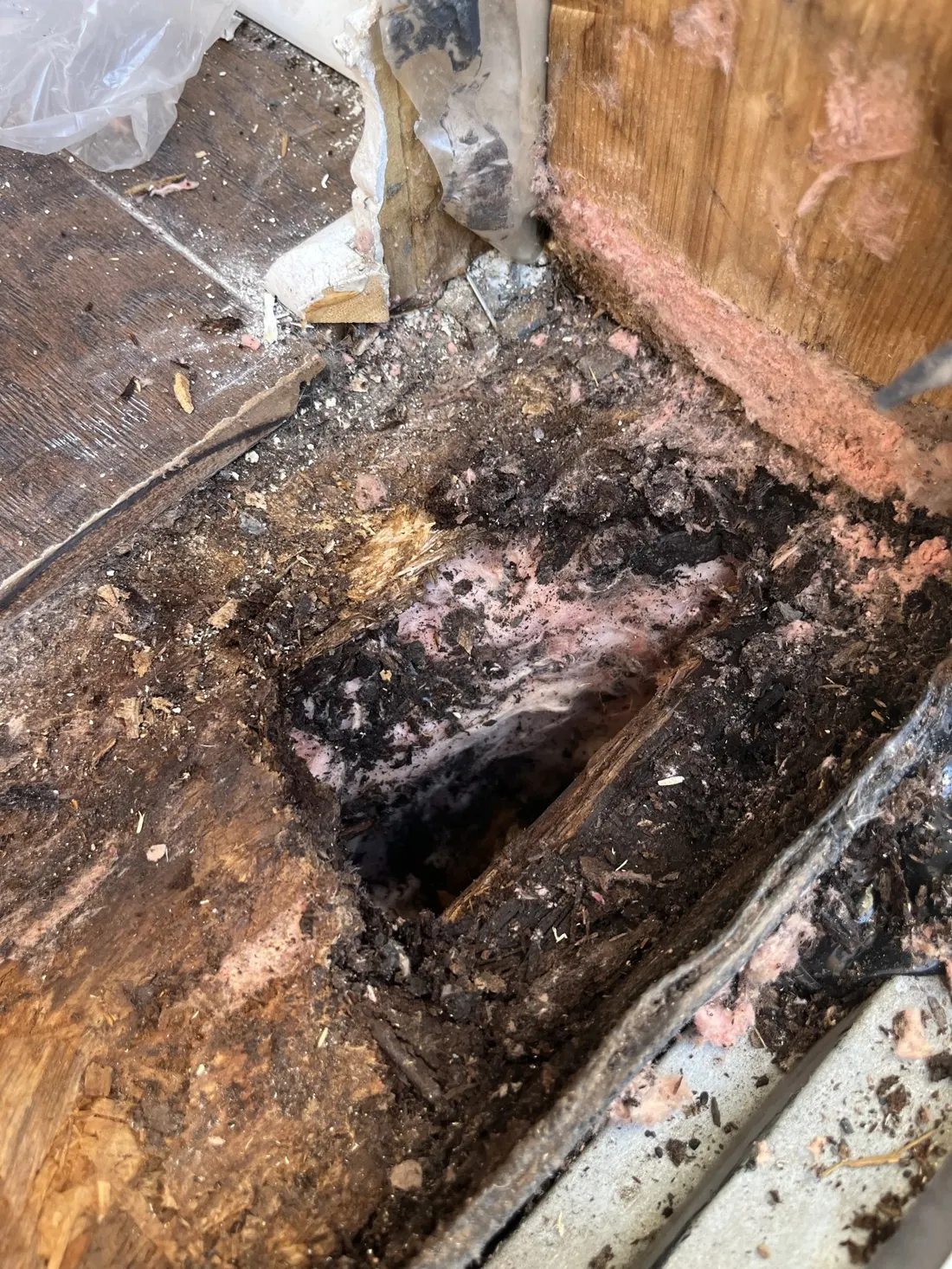 Deteriorated wood and insulation in the sheathing beneath an exterior door threshold